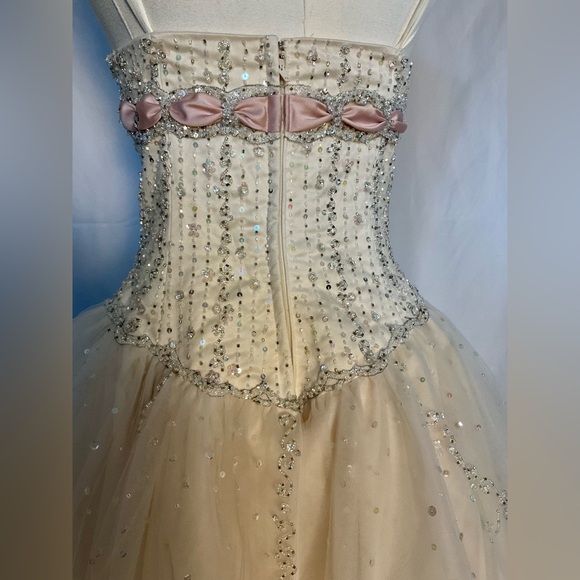 Gorgeous Mori Lee Madeline Gardner champagne & pink beaded tulle gown size 5/6 - Picture 4 of 8